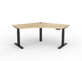 AgileMotion Electric Height Adjustable 120 Degree Workstation
