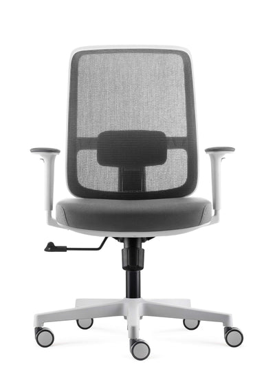 White - Grey / No Headrest
