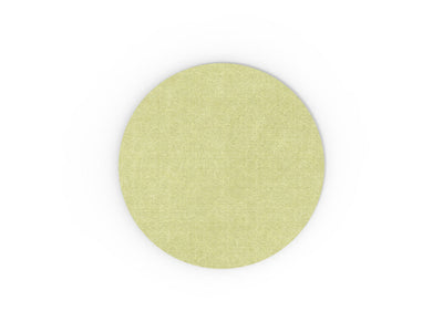 Fern