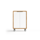Rover Mobile Cupboard