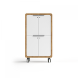 Rover Mobile Locker