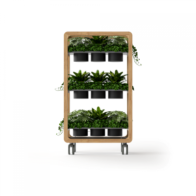 1620mm