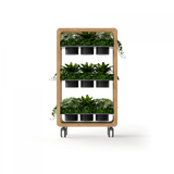 Rover Mobile Planter