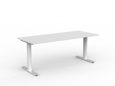 1500mm x 600mm / White Powdercoat / New Oak Ravine
