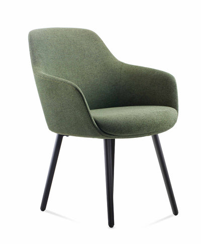 Olive Fabric