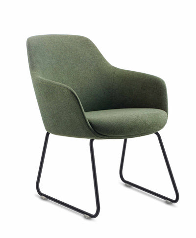 Olive Fabric