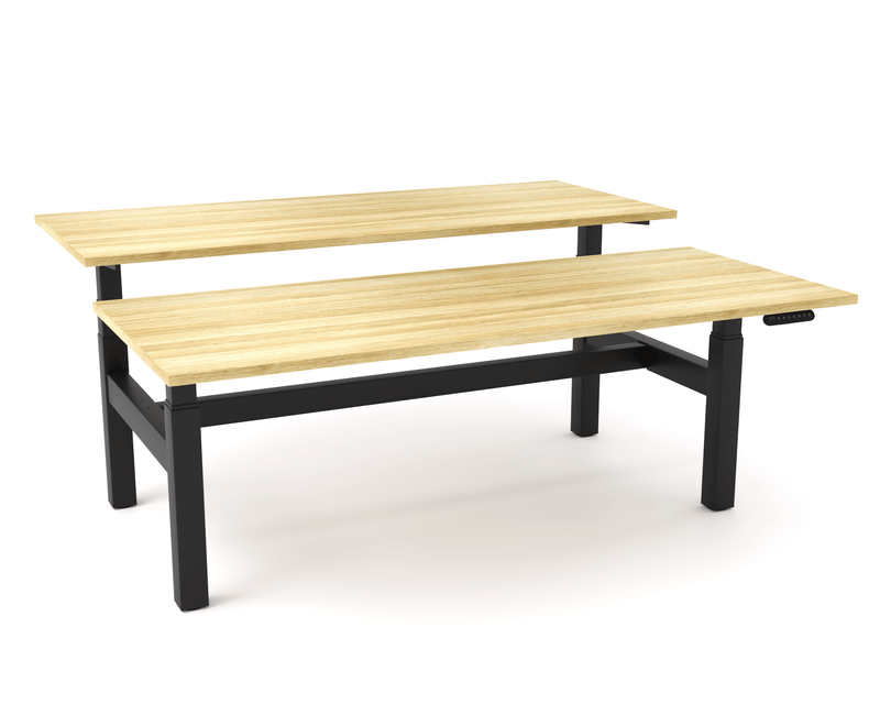 AgileMotion Double Sided Desk
