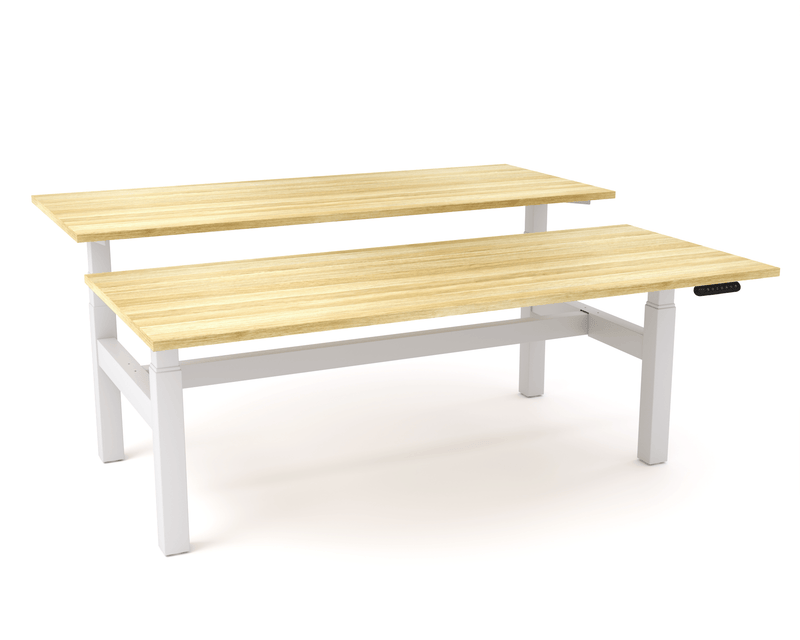 AgileMotion Double Sided Desk