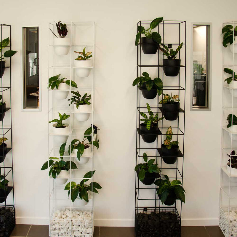 Bloom Vertical Garden