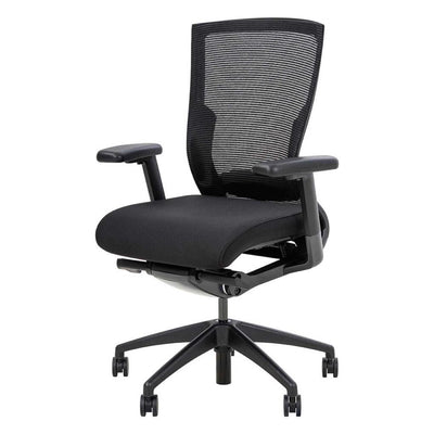 Adjustable Arms with Lumbar