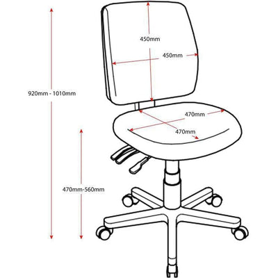 Ergo Midi Medium Ergonomic Back Chair