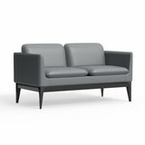 Madison 2-Seater Sofa - Charcoal PU
