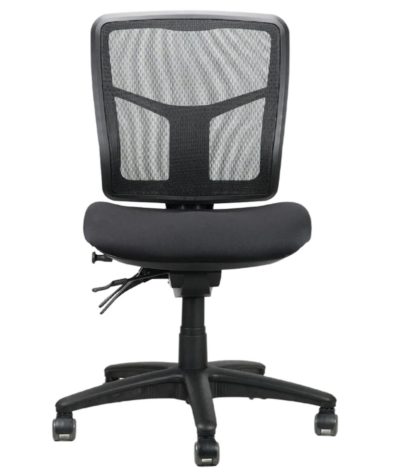 Mirae Heavy Duty Fully Ergonomic Task Chair