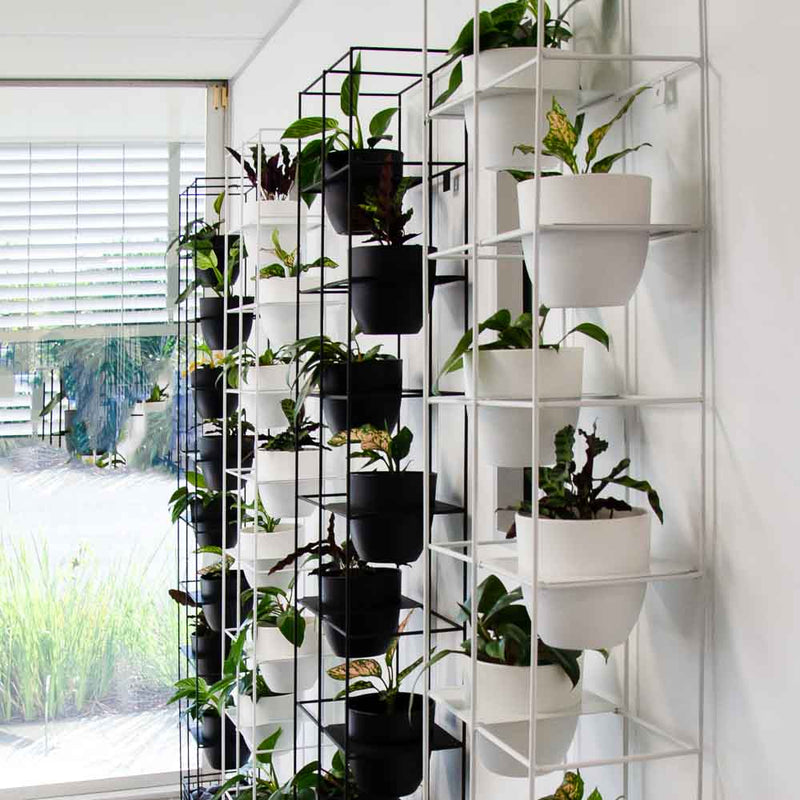 Bloom Vertical Garden