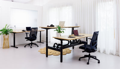 Halo Plus Round Leg Electric Height Adjustable Back To Back Frame