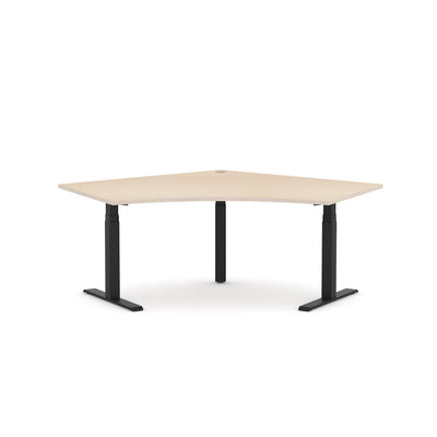 Nordic Maple / Black