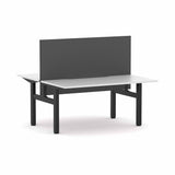 Bentley Fixed 2-Person DSD Workstation with Edge25 Screen