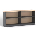 EkoSystem Bookcase